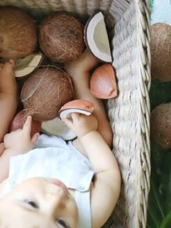 Jouet De Dentition Coco La Noix De Coco - OLI & CAROL Marron - Oli Et Carol -Produits Pour Bébé jouet de dentition coco la noix de coco oli carol 5