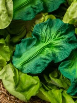 Jouet De Dentition Kendall La Feuille De Chou - OLI & CAROL Vert - Oli Et Carol -Produits Pour Bébé jouet de dentition kendall la feuille de chou oli carol 4