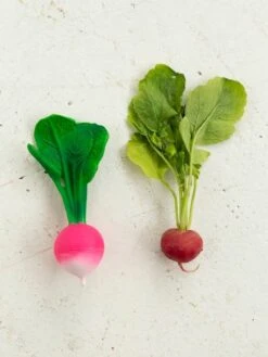 Jouet De Dentition Ramona Le Radis - OLI & CAROL Rose - Oli Et Carol 13 Jouet De Dentition Ramona Le Radis - OLI & CAROL Rose - Oli Et Carol -Produits Pour Bébé jouet de dentition ramona le radis oli carol 5