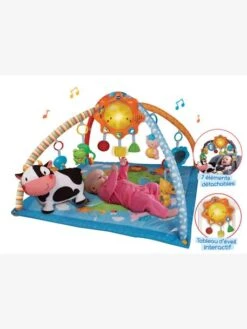 Produits Pour Bébé -Produits Pour Bébé lumi tapis des ptits copains 0 36 mois vtech 1
