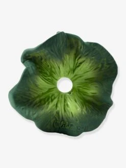 Mini Doudou Kendall Le Kale - OLI & CAROL Vert - Oli Et Carol 7 Mini Doudou Kendall Le Kale - OLI & CAROL Vert - Oli Et Carol -Produits Pour Bébé mini doudou kendall le kale oli carol 2