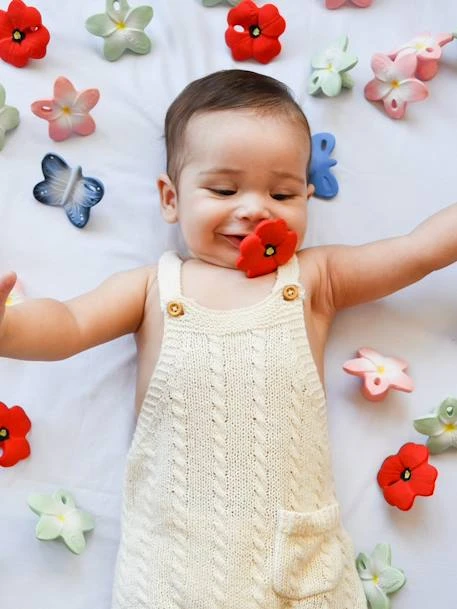 Pop Le Coquelicot - OLI & CAROL Rouge - Oli Et Carol 5 Pop Le Coquelicot - OLI & CAROL Rouge - Oli Et Carol – Image 3