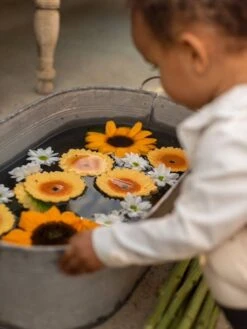 Sun Le Tournesol - OLI & CAROL Jaune - Oli Et Carol -Produits Pour Bébé sun le tournesol oli carol 3